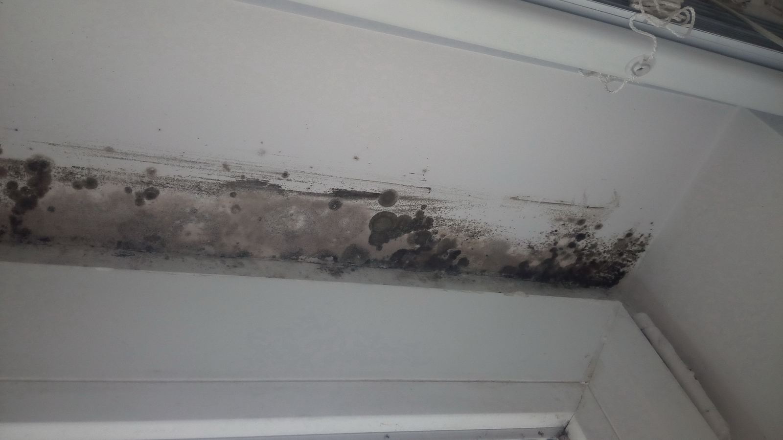Dark mold growth on a white interior wall near a window frame