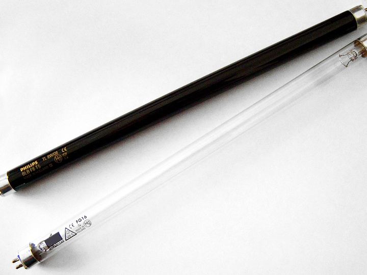 Two ultraviolet fluorescent tubes glowing